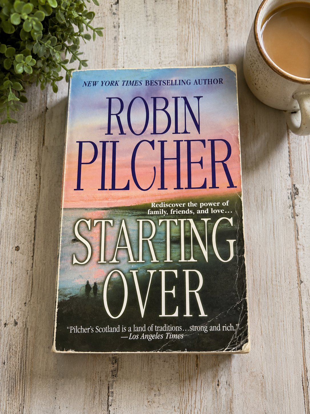 Starting Over by Robin Pilcher
