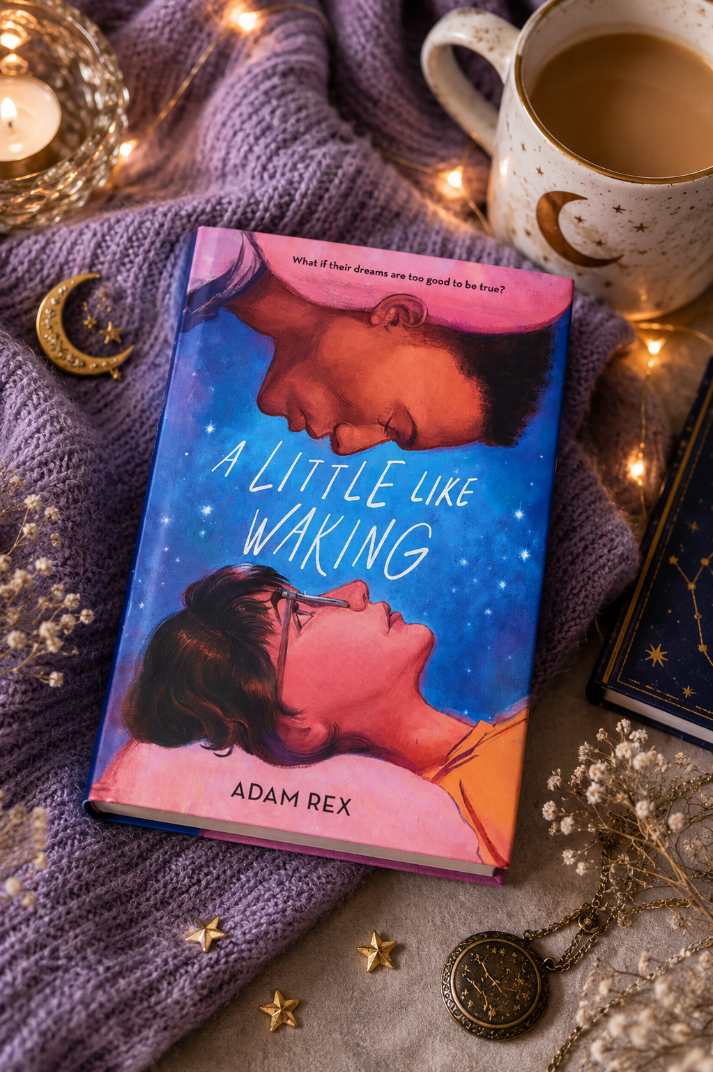 A Little Like Waking By Adam Rex